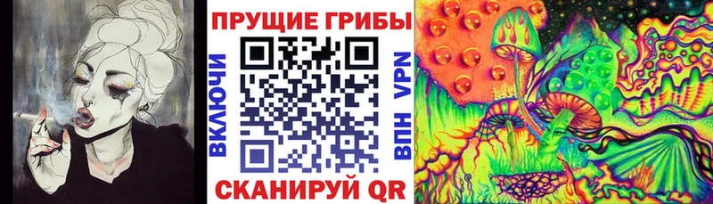 Псилоцибиновые грибы Psilocybe  Старый Крым 